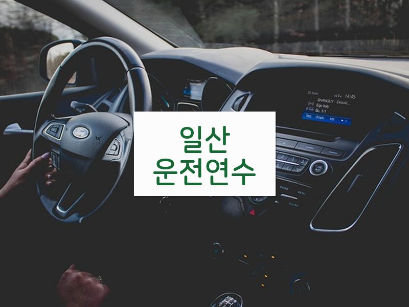 일산운전연수 후기