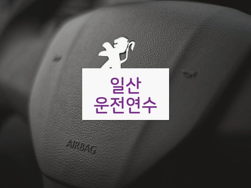 일산운전연수 후기