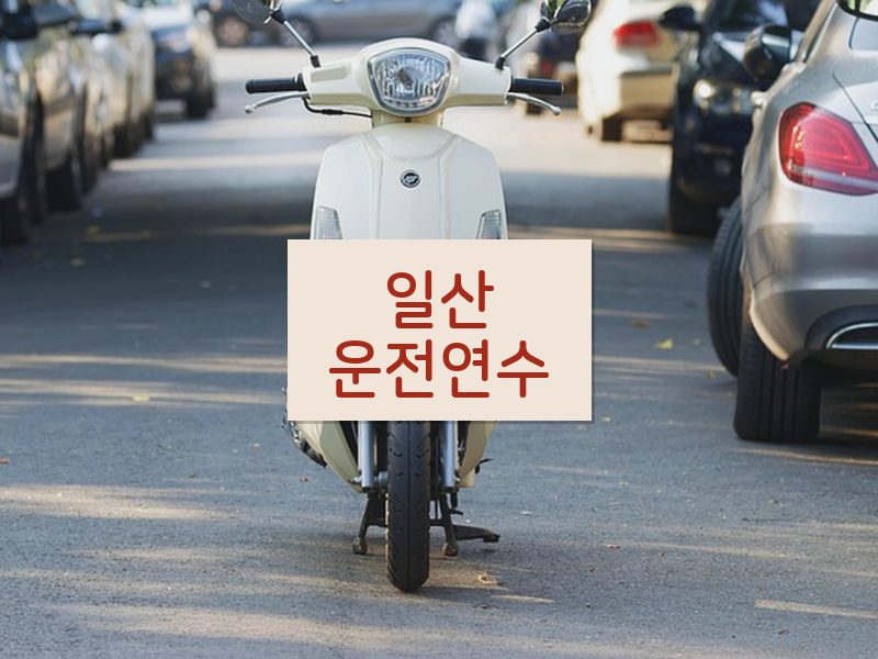 일산운전연수 후기