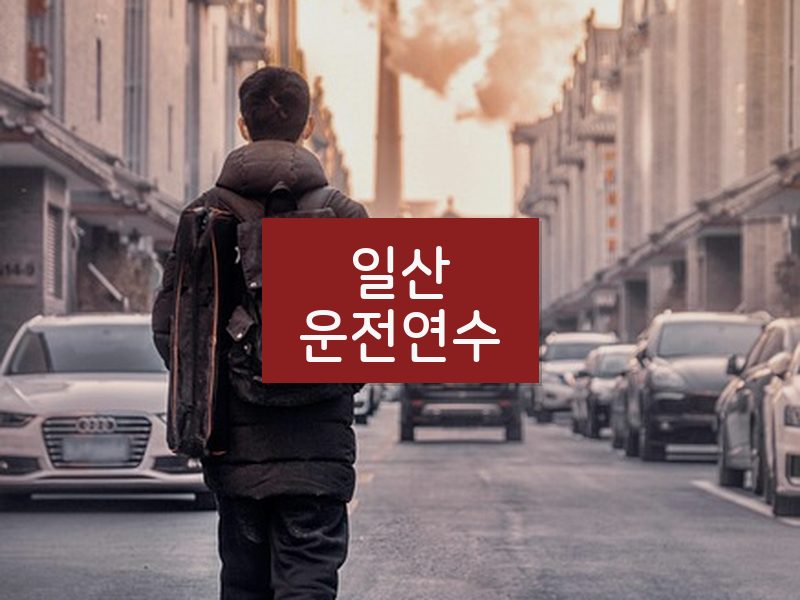 일산운전연수 후기