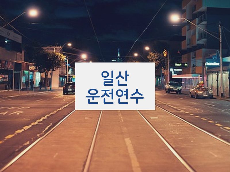 일산운전연수 후기