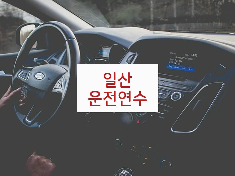 일산운전연수 후기