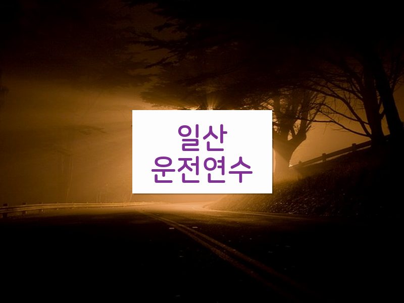 일산운전연수 후기