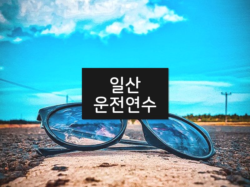 일산운전연수 후기