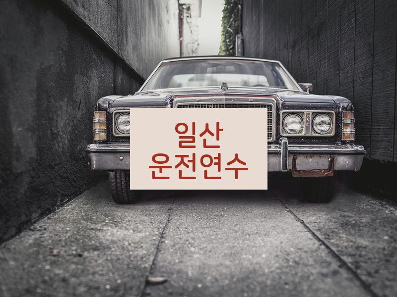 일산운전연수 후기