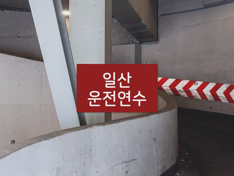 일산운전연수 후기