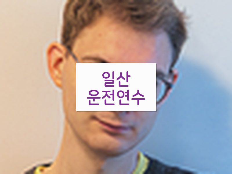 일산운전연수 후기