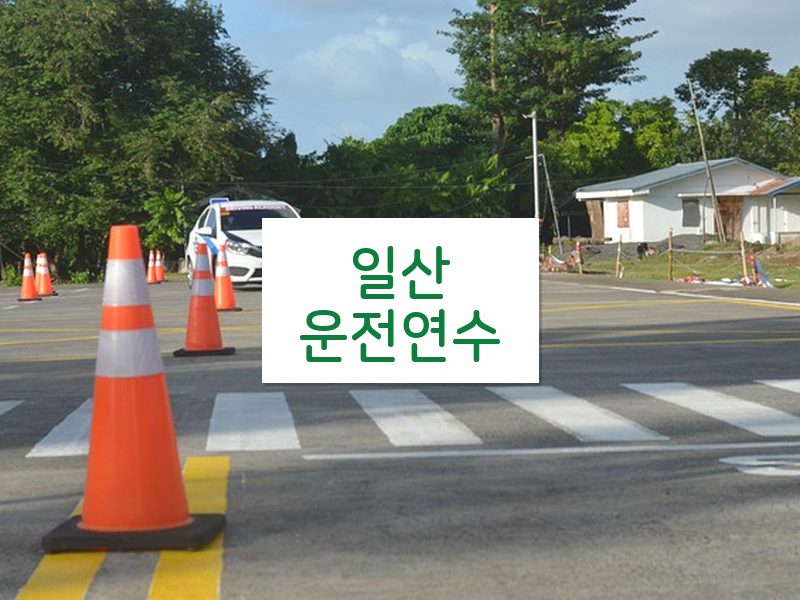 일산운전연수 후기