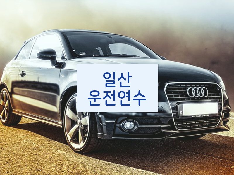 일산운전연수 후기