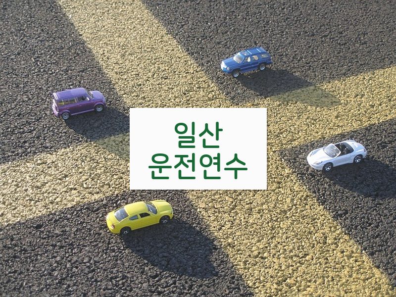 일산운전연수 후기