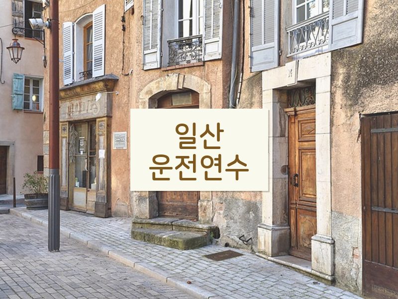 일산운전연수 후기