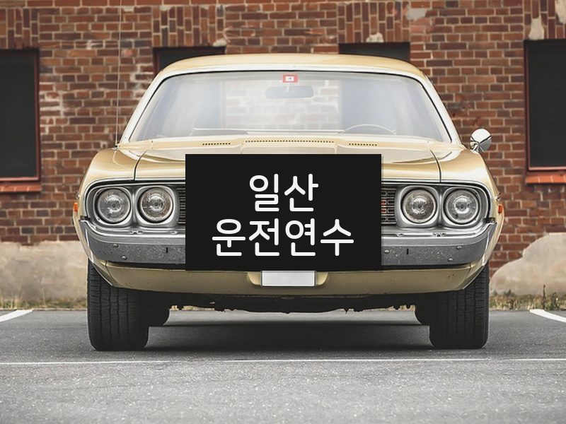일산운전연수 후기