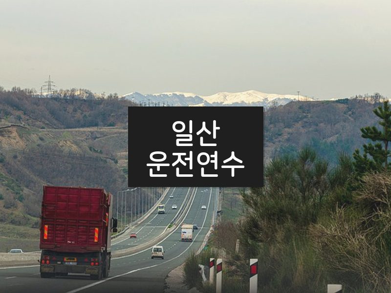 일산운전연수 후기