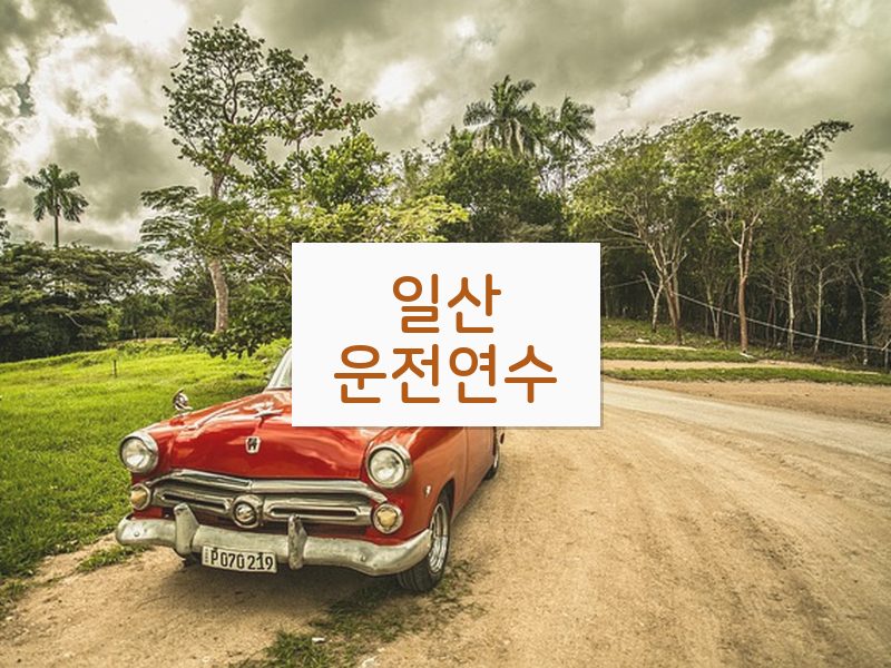 일산운전연수 후기
