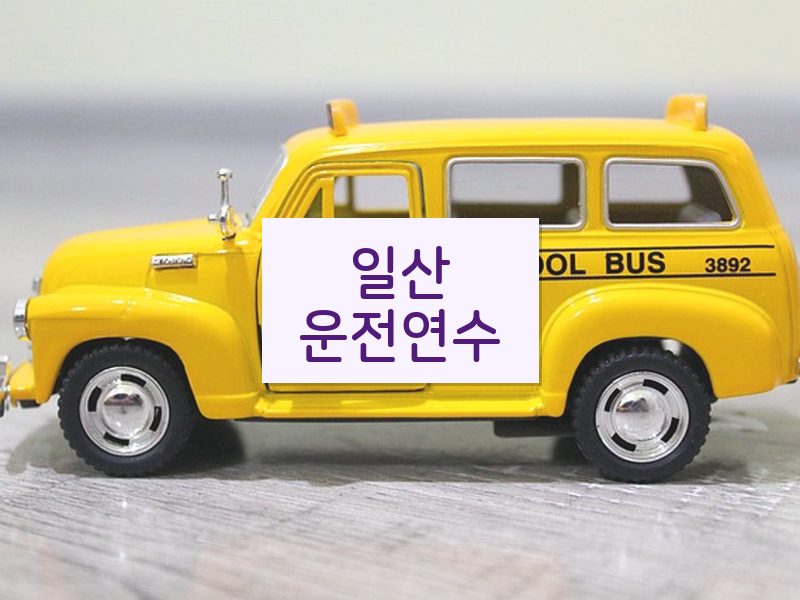 일산운전연수 후기
