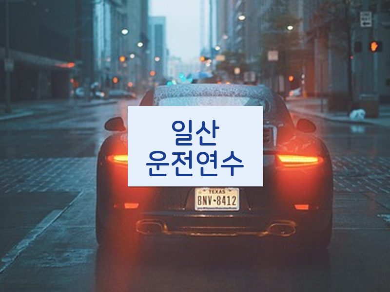 일산운전연수 후기