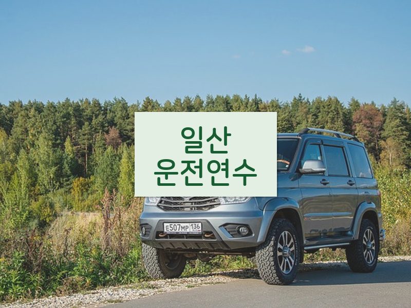 일산운전연수 후기