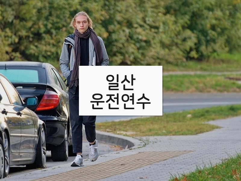 일산운전연수 후기