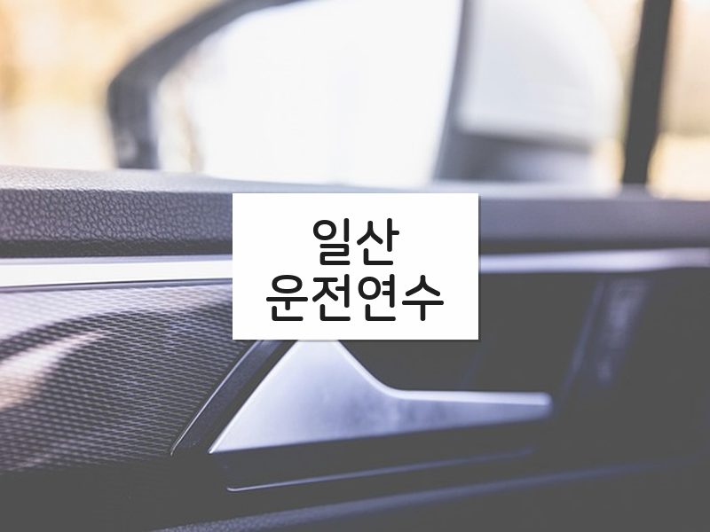 일산운전연수 후기