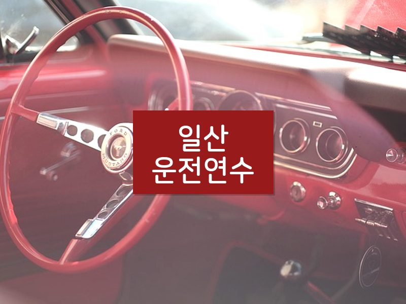 일산운전연수 후기