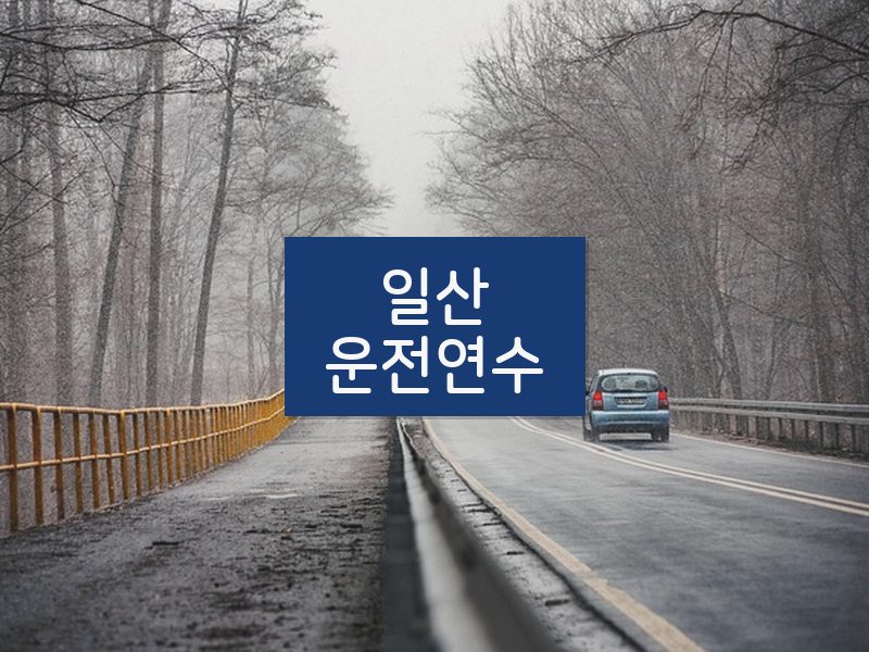 일산운전연수 후기