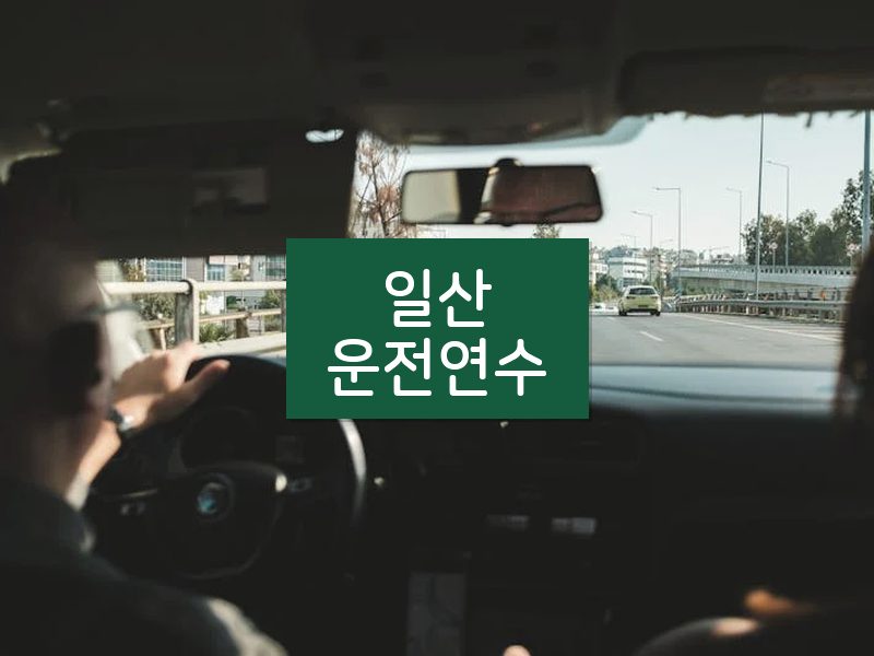 일산운전연수 후기