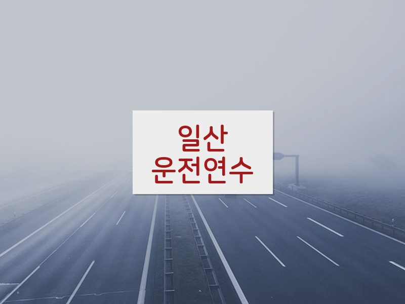 일산운전연수 후기