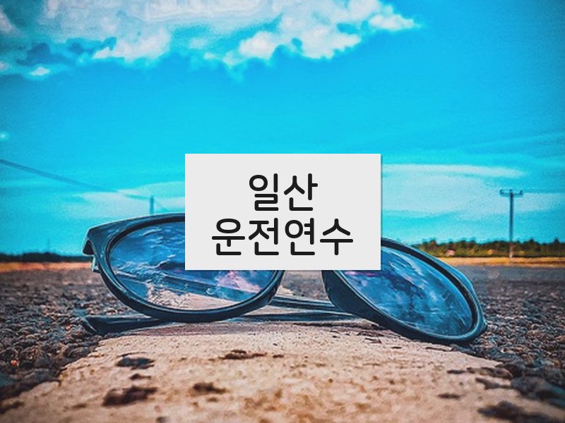 일산운전연수 후기