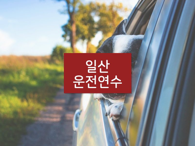 일산운전연수 후기