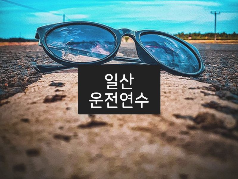 일산운전연수 후기