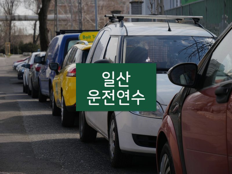 일산운전연수 후기