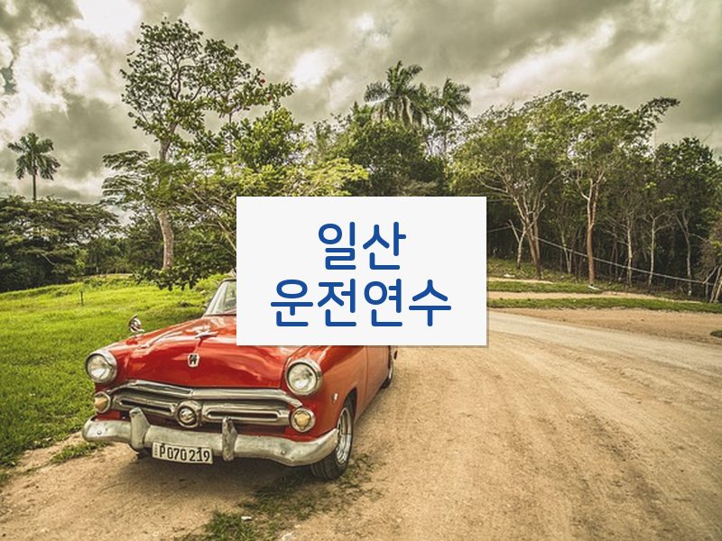일산운전연수 후기