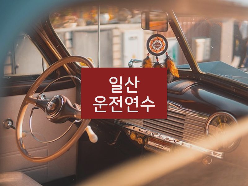 일산운전연수 후기