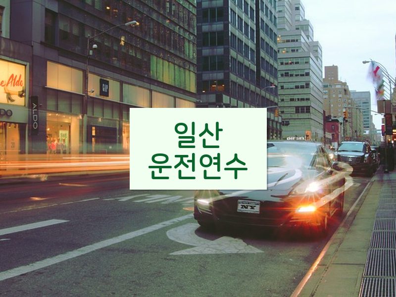 일산운전연수 후기