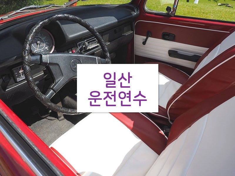 일산운전연수 후기