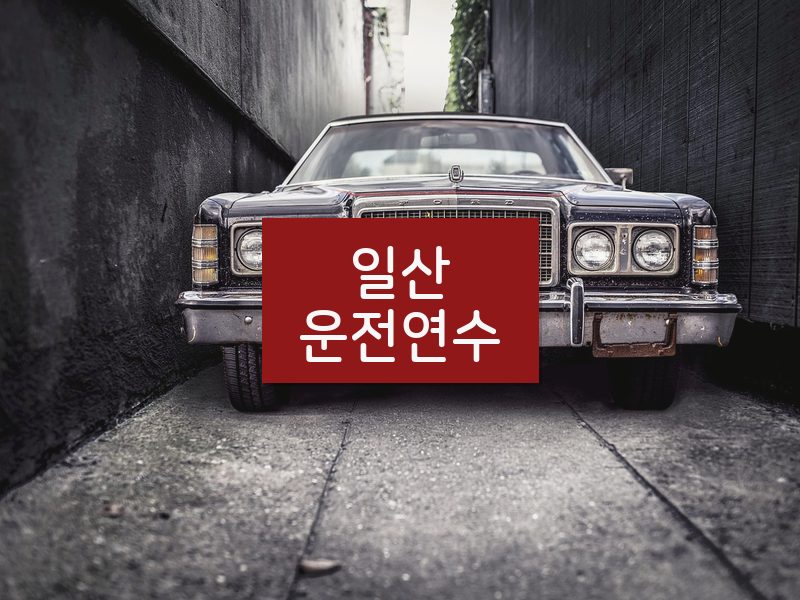 일산운전연수 후기