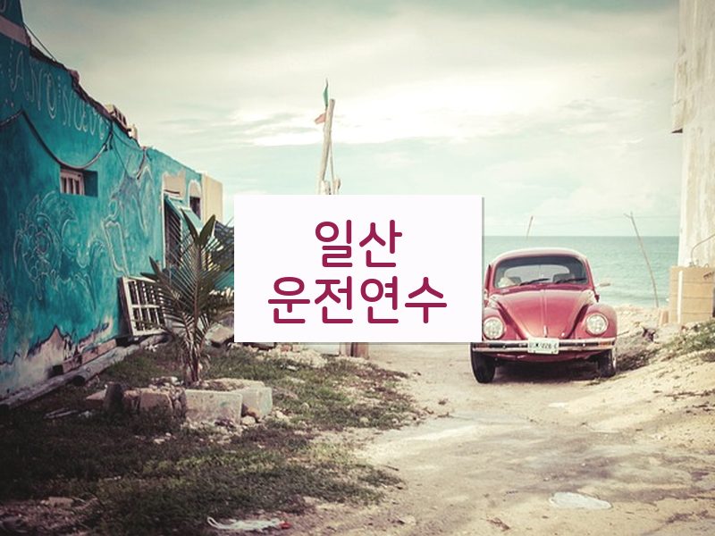 일산운전연수 후기