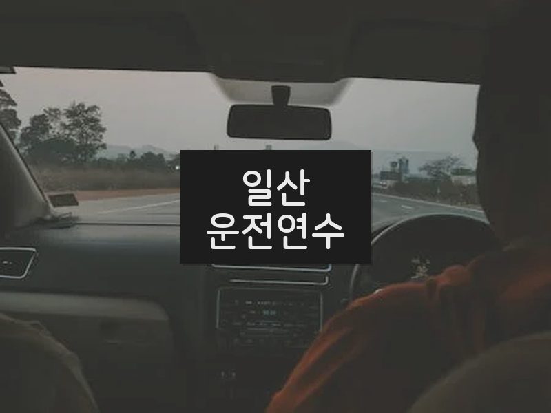 일산운전연수 후기