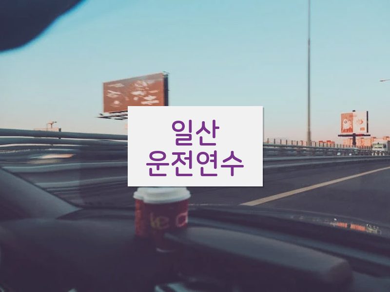 일산운전연수 후기