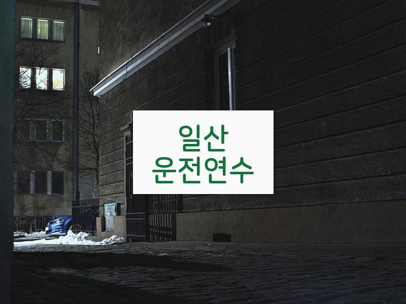 일산운전연수 후기