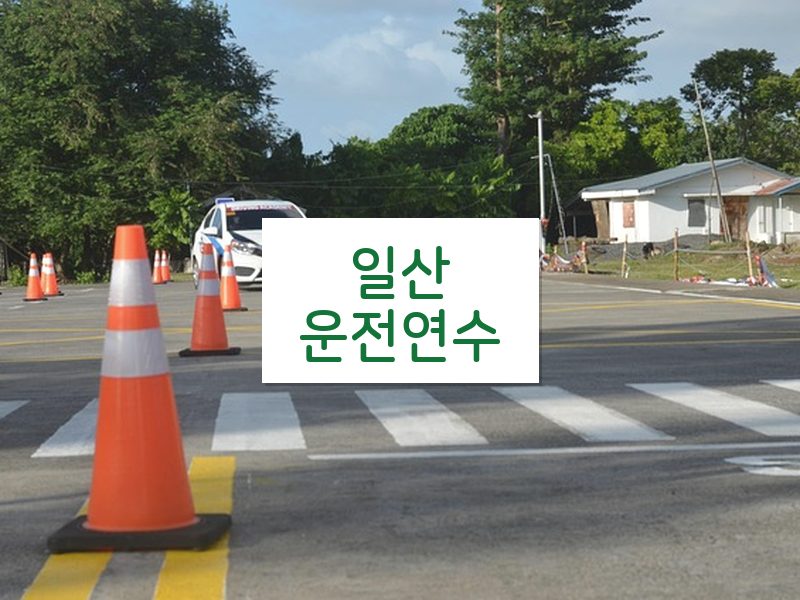 일산운전연수 후기