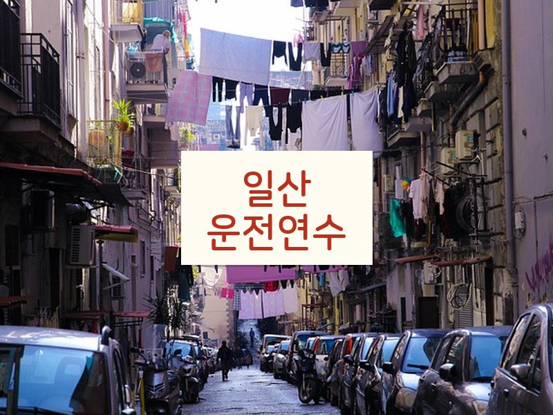 일산운전연수 후기