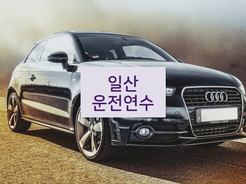 일산운전연수 후기