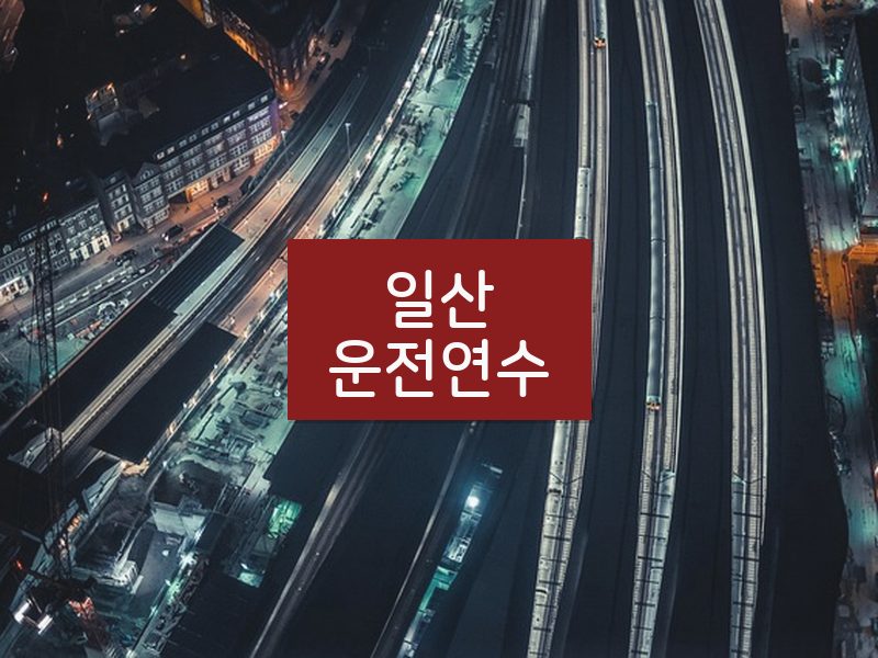 일산운전연수 후기