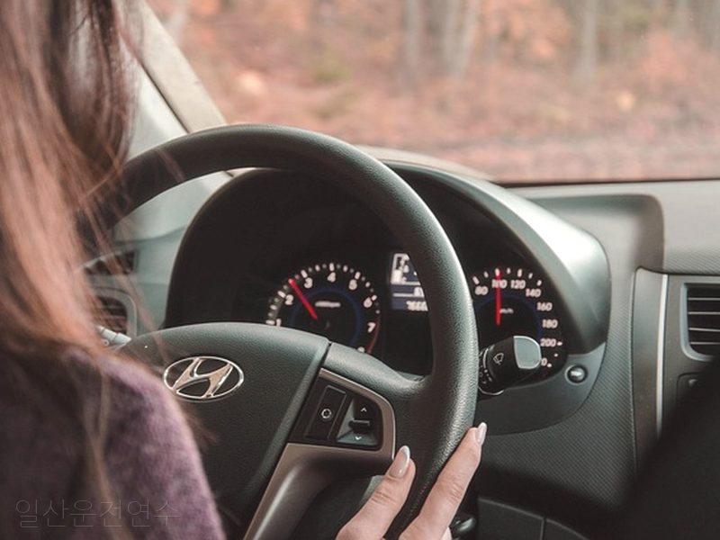 일산운전연수 후기