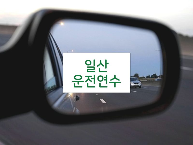 일산운전연수 후기
