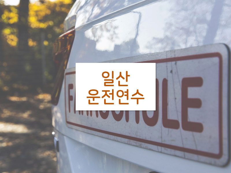 일산운전연수 후기