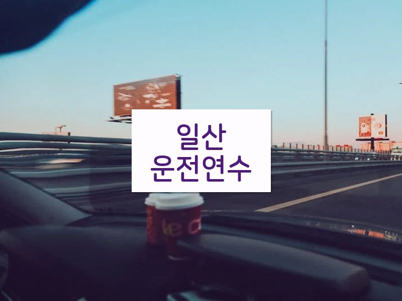 일산운전연수 후기