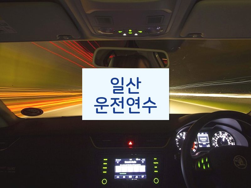 일산운전연수 후기
