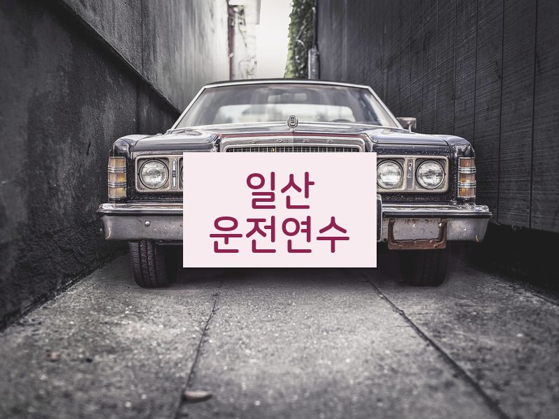 일산운전연수 후기